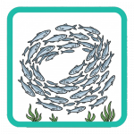 school of fish